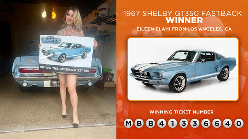 Prize won by Eileen Elahi