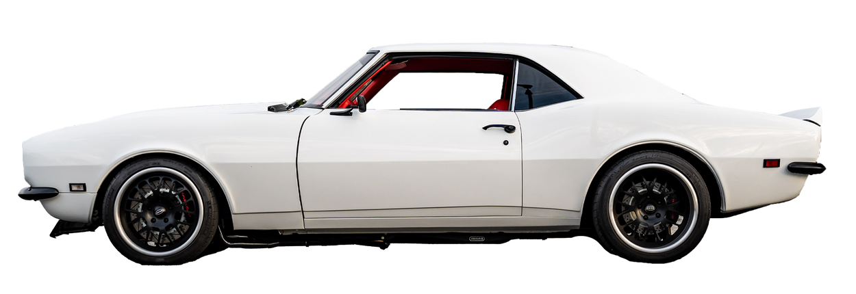 Boxing for Parkinson's