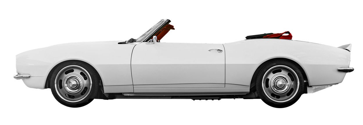 Boxing for Parkinson's