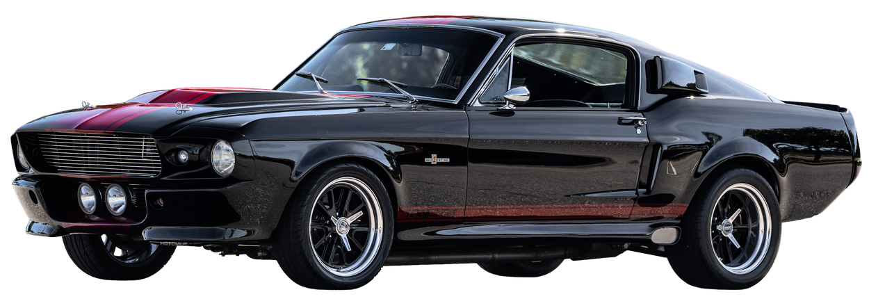 Boxing for Parkinson's